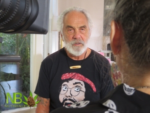 tommy chong featured in cannabis the story by patricia mooney and mark schulze documentarians